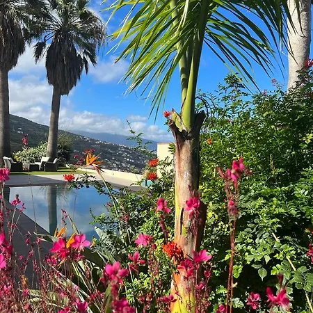 Villa Casa De Vinas, Views Of The Teide And The Sea *